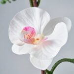 FEJKA Artificial potted plant, Orchid white, 12 cm - Image 3