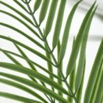 FEJKA Artificial potted plant, in/outdoor Areca palm, 19 cm - Image 2