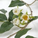SMYCKA Artificial garland, in/outdoor Rose/white, 1.5 m - Image 3