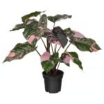 FEJKA Artificial potted plant, in/outdoor Philodendron/green/pink, 15 cm