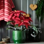 VINTERFINT Plant pot, in/outdoor, green, 12 cm - Image 3