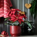 VINTERFINT Plant pot, in/outdoor, red, 12 cm - Image 3