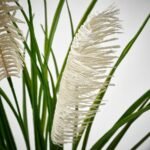 FEJKA Artificial potted plant, in/outdoor/grass, 12 cm - Image 4