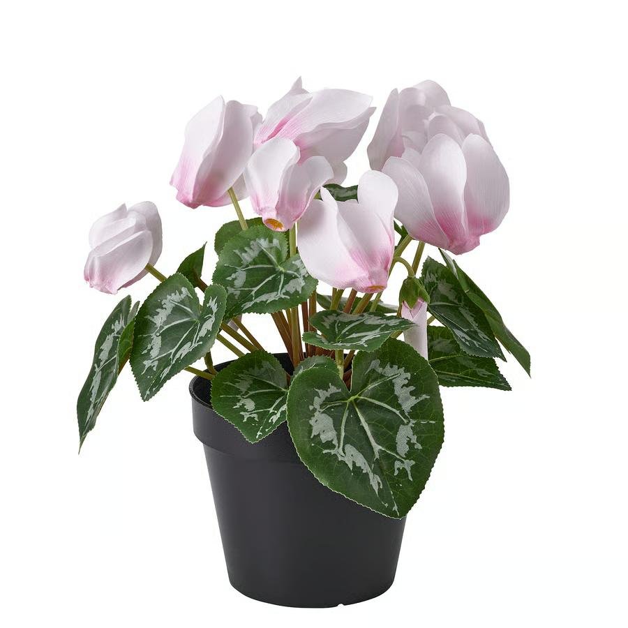 1331-1 fejka-artificial-potted-plant-in-outdoor-alpine-violet-light-pink FEJKA Artificial potted plant, in/outdoor Alpine violet/light pink, 12 cm - Image 1