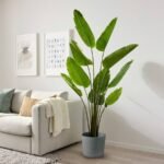 FEJKA Artificial potted plant, in/outdoor/Bird of paradise, 23 cm - Image 3