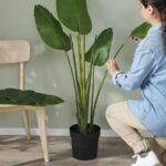 FEJKA Artificial potted plant, in/outdoor/Bird of paradise, 23 cm - Image 4