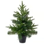 VINTERFINT Artificial potted plant, in/outdoor Christmas tree, green, 12 cm