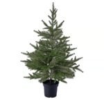 VINTERFINT Artificial potted plant, in/outdoor/Christmas tree green, 15 cm